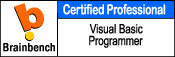 Visual Basic Programmer